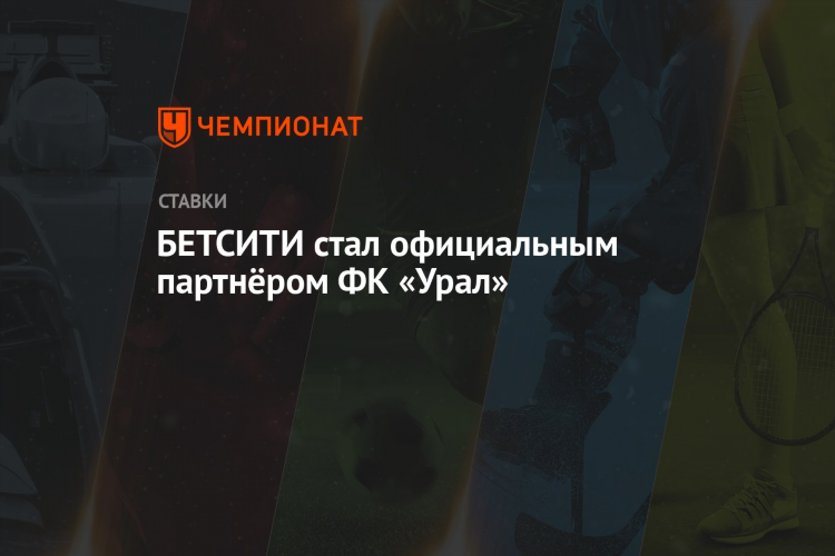Betcity букмекерская контора официальный