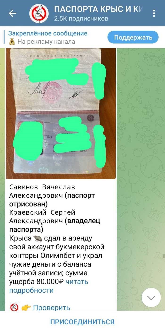 Чат ставки на спорт телеграмм