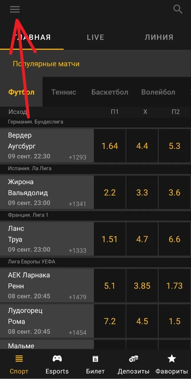 Экспресс на ставки