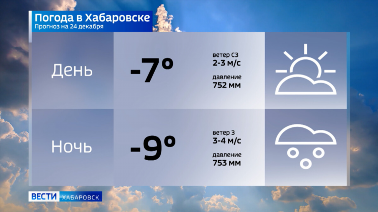 Гисметео летняя ставка на 2 недели
