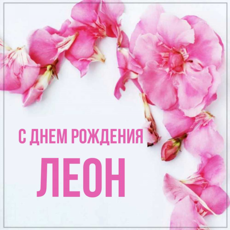 Leon скачать бесплатно
