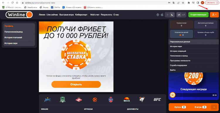 Winline как делать ставки правильно